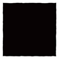 ZAN Headgear Solid Black Bandanna