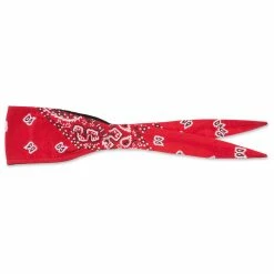 Schampa Old School Bandana Red Paisley