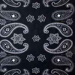 Schampa Black And White Paisley Tubes