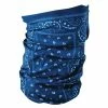ZAN Headgear Blue Paisley Motley Tube